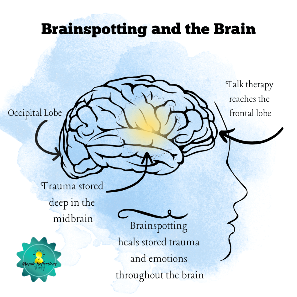 Image of a Brain and the areas that Brainspotting targets. Brainspotting is an effective therapeutic modality to enhance the mind-body connection. Brainspotting Therapy is available in North Carolina and South Carolina. Call today to begin an Online Brainspotting Therapy session. 