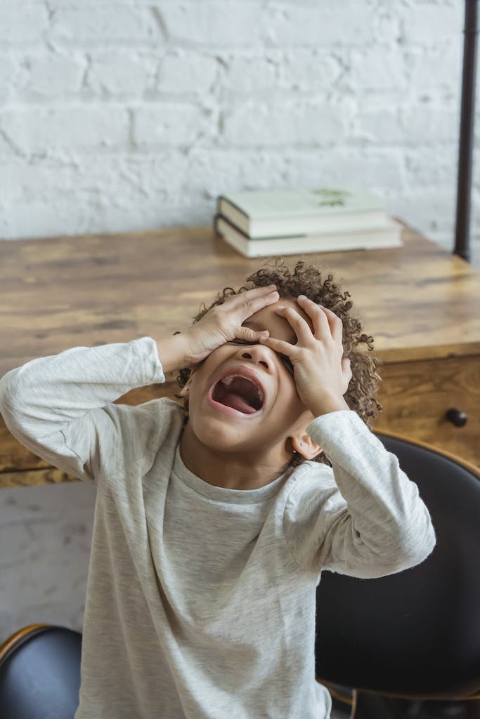 Boy screaming due to having extreme emotions. This can be a symptom of a much bigger issue that may need therapy services for children. This can be due to recent changes in his life, anxiety, depression, or a mood disorder. Virtual Therapy in North Carolina and South Carolina can work with children who are struggling with this. 