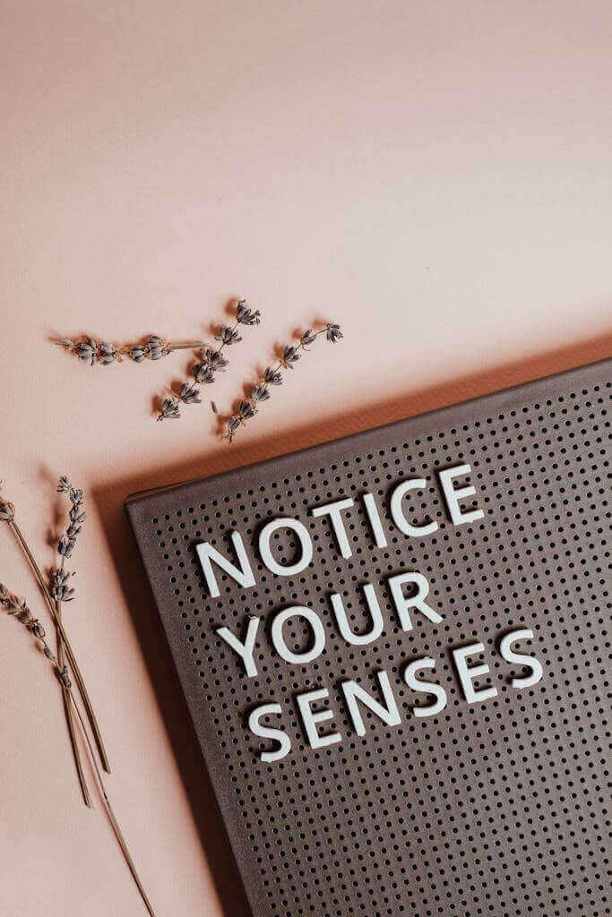 Notice your senses can help with being in the here and now. Use the 5 senses grounding technique to gain control of your current stress levels. 