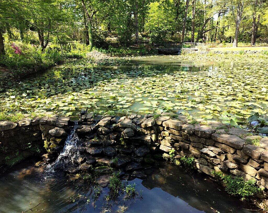 Brainspotting Therapy | Trauma Therapy | Brainspotting Charlotte | Rock Hill, SC | 29732 | 28207 | 28173 | Bridge crossing a tranquil pond in Glencairn Garden, inspiring grounding after Brainspotting Therapy work.