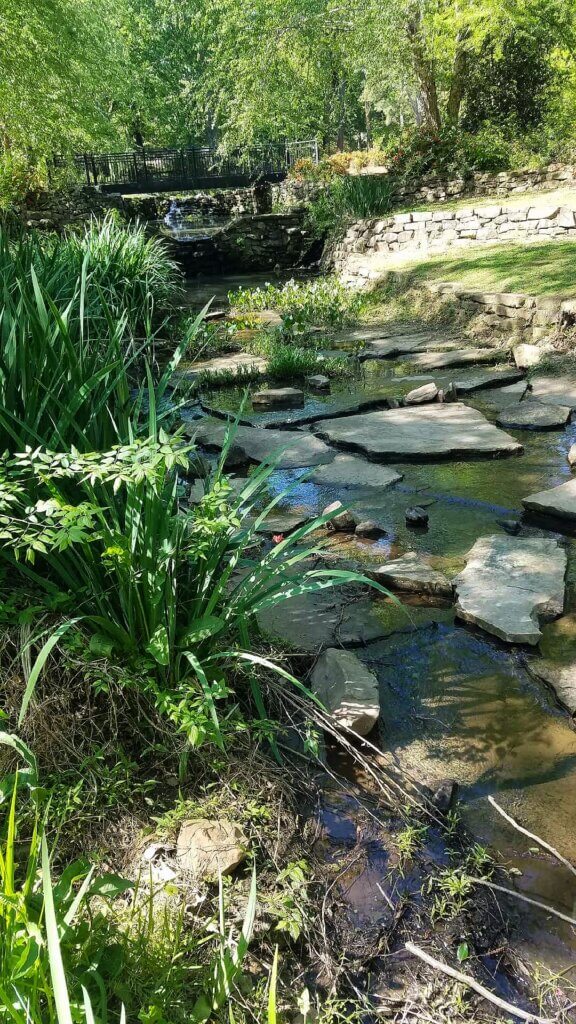Brainspotting Charlotte | Brainspotting Therapist | Trauma Healing Walk | Charlotte, NC | 28211 | 28036 | 29708 | Stone path in water shaded by towering oak trees, a peaceful area ideal for post-therapy reflection after Brainspotting sessions in Charlotte.