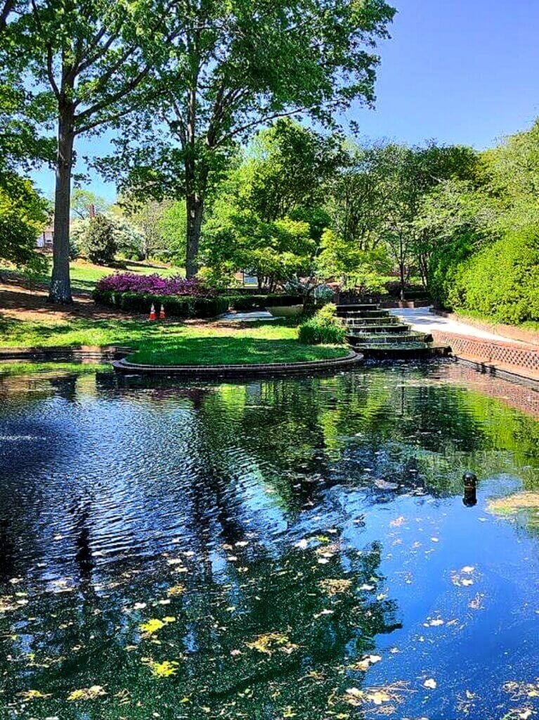 Brainspotting Therapist | Healing Garden | Brainspotting Therapy | Charlotte, NC | 28173 | 28211 | 29732 | Expansive view of water at Glencairn Garden, a great place for reflection after Brainspotting Therapy sessions.