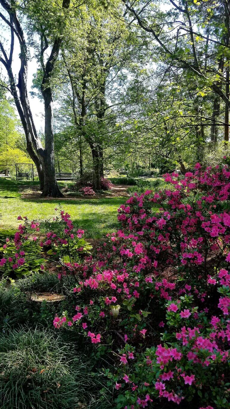 A Mindful Walk Through Glencairn Garden After A Brainspotting Therapy Session