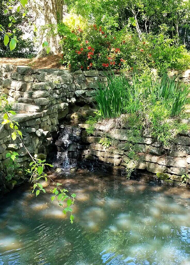 Brainspotting Charlotte | Therapy Healing Space | Brainspotting Therapist | Charlotte, NC | 28211 | 28036 | 28173 | Refreshing sound of a waterfall at Glencairn Garden, offering peace and renewal after virtual Brainspotting Therapy.